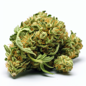 Bonkers Strain Feminized Cannabis Seeds