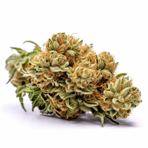 Bubblicious Strain