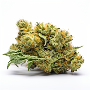 CB Dream Strain Feminized CBD/Medical Cannabis Seeds