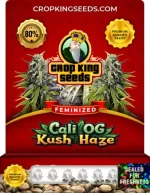 Cali OG Kush Haze