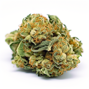 Cookie Monster Strain Feminized Cannabis Seeds