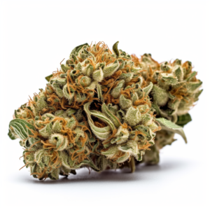 Critical Mass Strain Autoflowering Cannabis Seeds