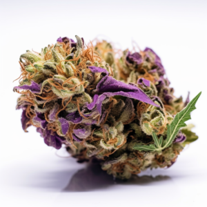 Crushed Grapes Strain Feminized Cannabis Seeds 