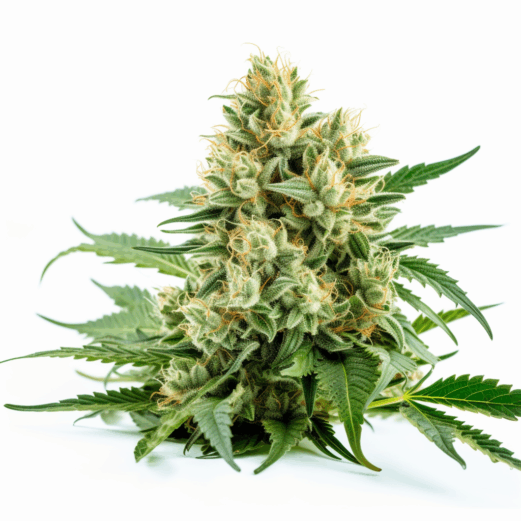 Diamond Kush