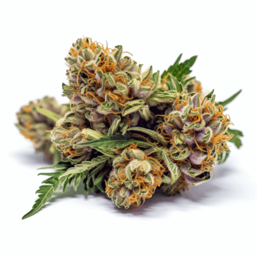 Fruit Loops Strain