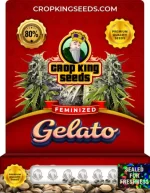 Gelato Strain