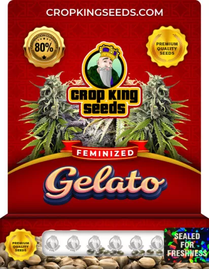 Gelato Strain