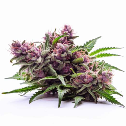 Ghost Train Haze