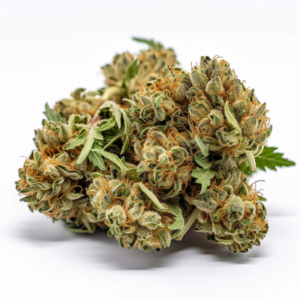 Girl Scout Cookies Strain Autoflowering Cannabis Seeds