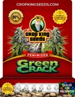 Green Crack Strain Feminized
