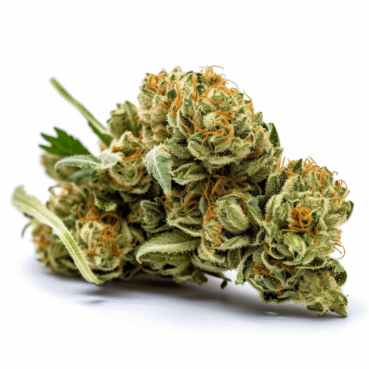 OG Banana Punch Strain