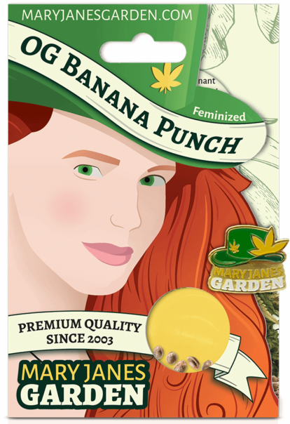 OG Banana Punch Package Mock Up 2 1