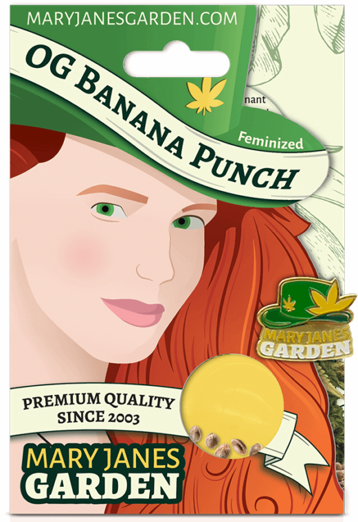 OG Banana Punch Package Mock Up 2 1