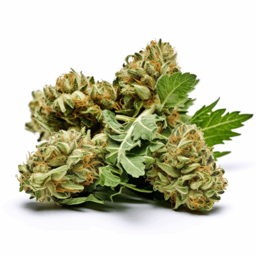 OG Kush