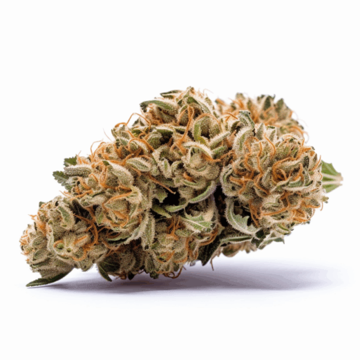 OG Punch Strain