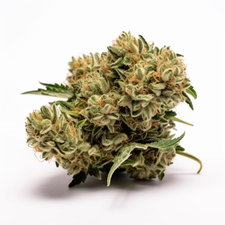 Bubba Kush Feminized Cannabis Seeds By Crop King Seeds