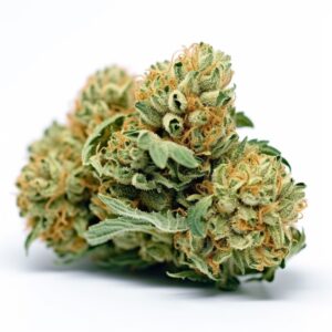 Bubba Kush Feminized Cannabis Seeds