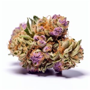 Bubblegum Strain Autoflowering Cannabis Seeds