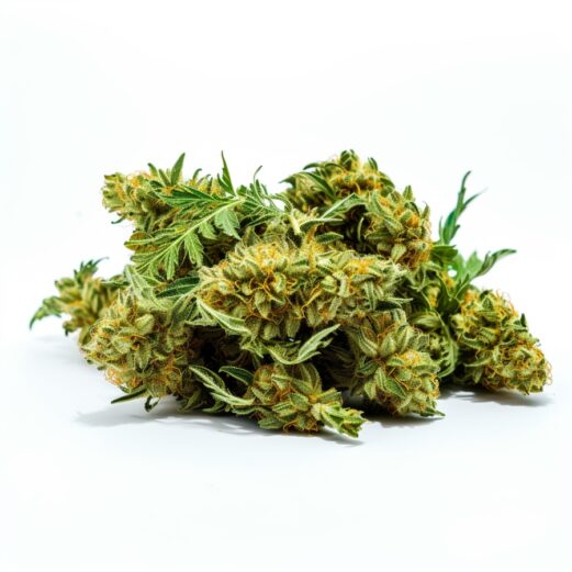 CBD Haze Feminized Cannabis Seeds