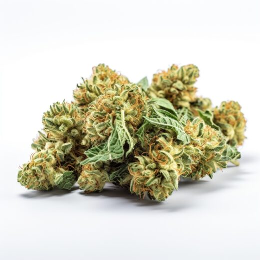 CBD Tangie Strain Feminized Cannabis Seeds