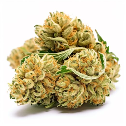 Gorilla Glue #4 Strain Feminized