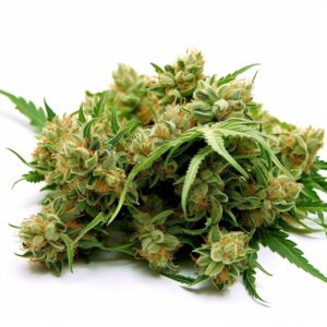 Grapeness Strain Feminized Cannabis Seeds