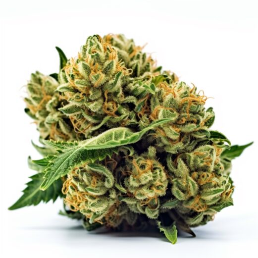 Green Apple Pie Strain