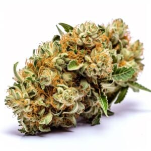 Green Crack Strain Feminized Cannabis Seeds