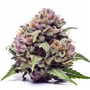 Hilly Billy Jean Strain Feminized Cannabis Seeds