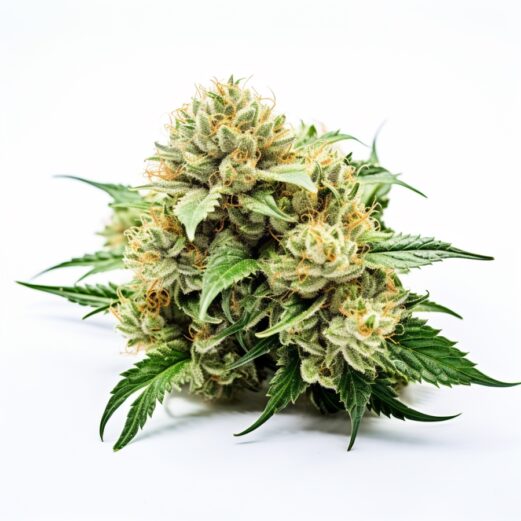 Shiskaberry Kush