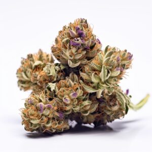 Sour Diesel Strain Autoflowering Cannabis Seeds