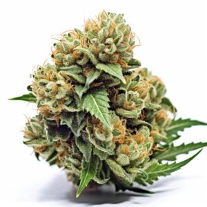 Sour Diesel Strain Feminized Cannabis Seeds