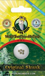Original Skunk Regular