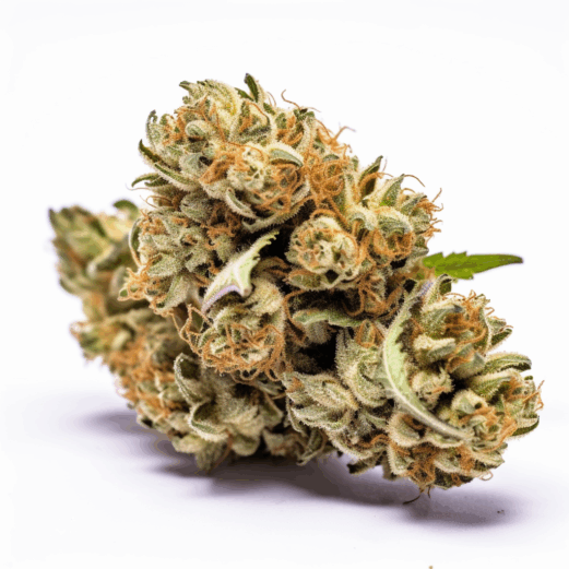 Phantom Cookies Strain