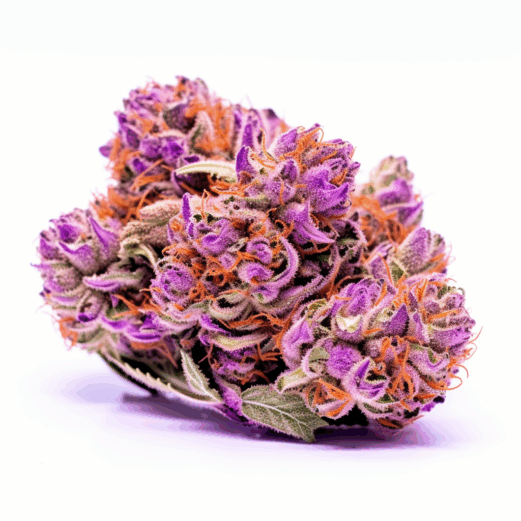 Purple Urkle Strain