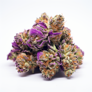 Purple Urkle Strain Feminized Cannabis Seeds 