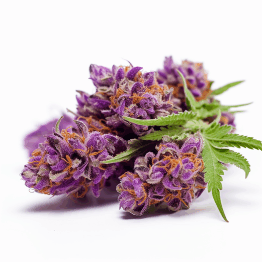 Purple Wreck Strain