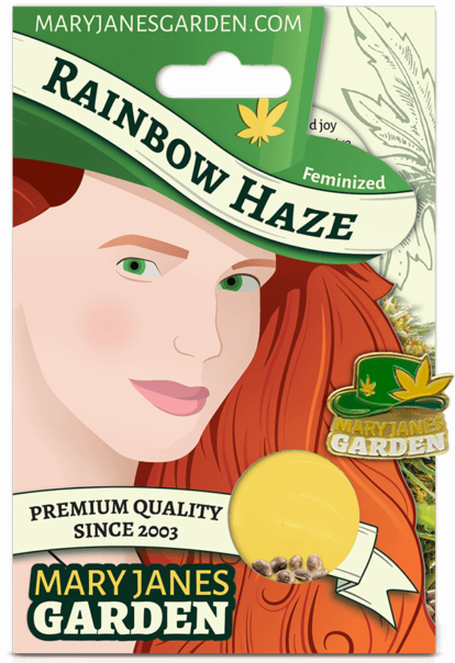 Rainbow Haze Package Mock Up 2 1