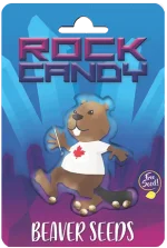 Rock Candy Strain