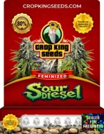 Sour Diesel Strain