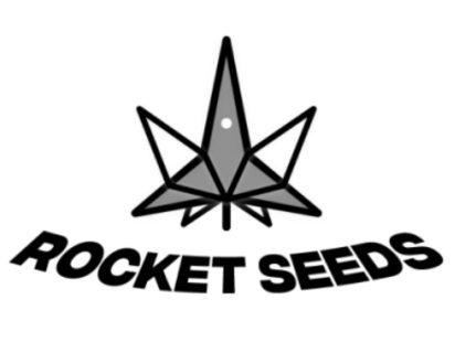 Statement from Rocketseeds