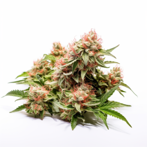 Strawberry Strain Feminized Cannabis Seeds