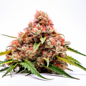 Strawberry Kush Autoflowering Cannabis Seeds