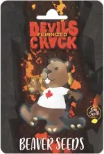 The Devil's Crack Strain