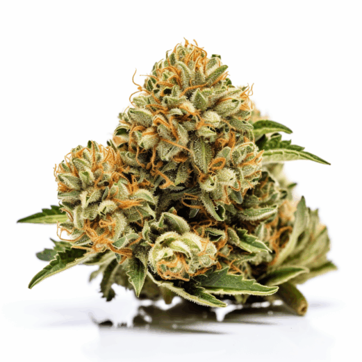 Wedding Crasher Strain
