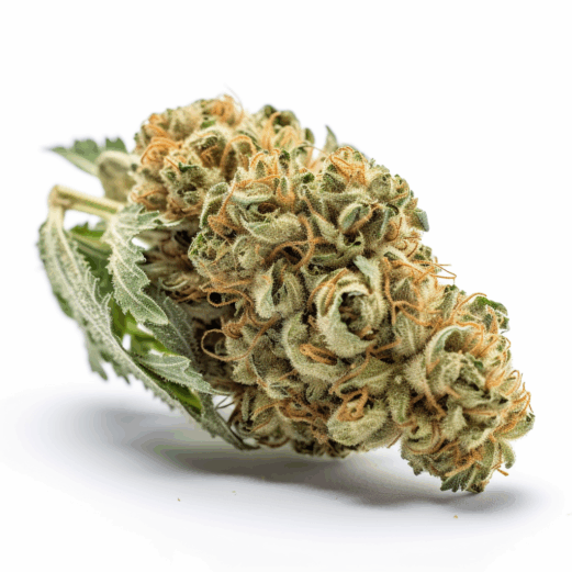 Wedding Crasher Strain