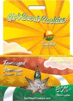 Girl Scout Cookies Strain Feminized