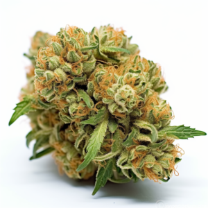 White Strawberry Skunk Strain Feminized Cannabis Seeds