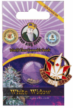 White Widow Autoflower Cannabis Seeds