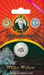 White Widow Autoflower